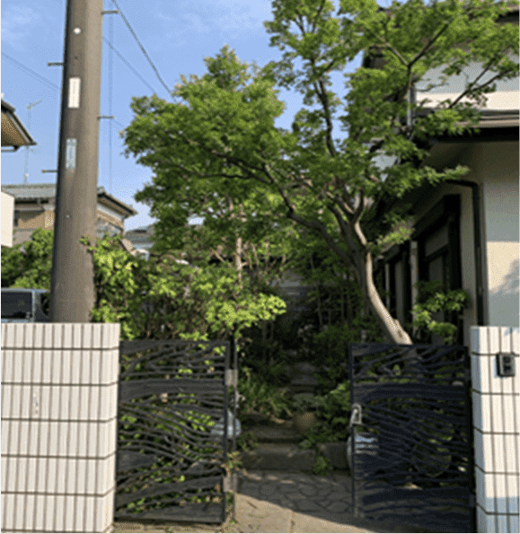 新潟県長岡市 刈り込み枝落とし